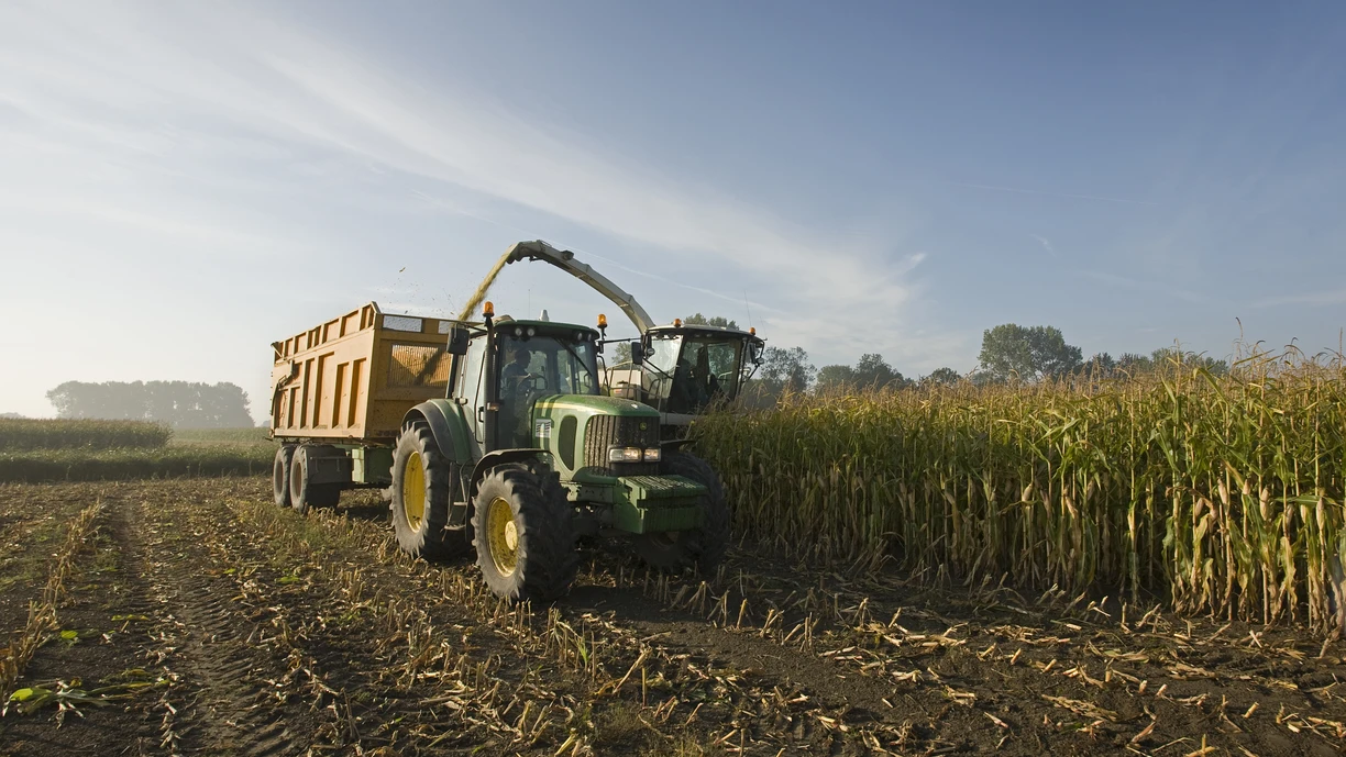 Farmer_collecting_crops