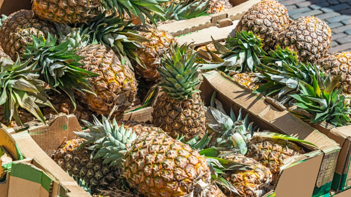 A box filled with pineapples