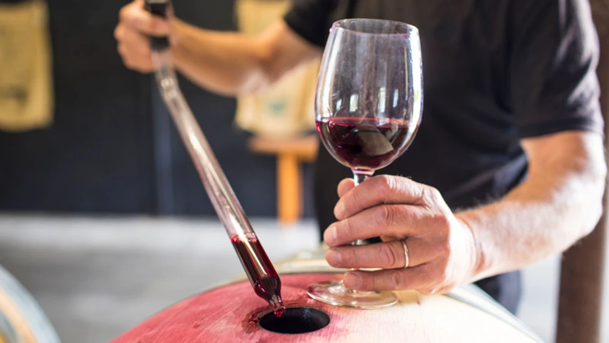 A winemaker taking some wine samples