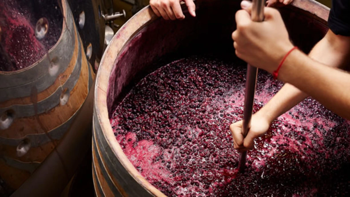 hand stirring in a large barrel full of wine