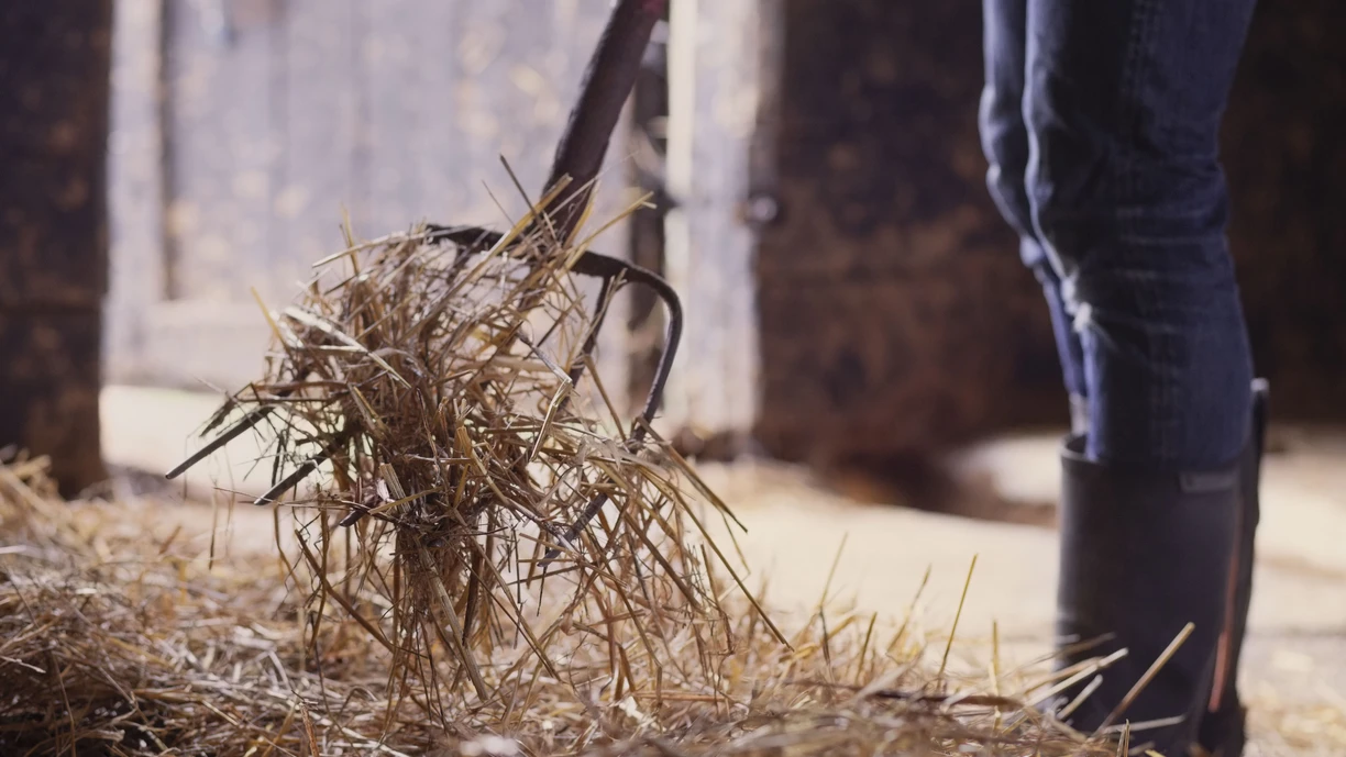 Midsection of farmer shoveling hay in barn