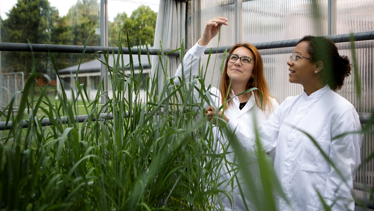 Women investigate plants in greenshouse