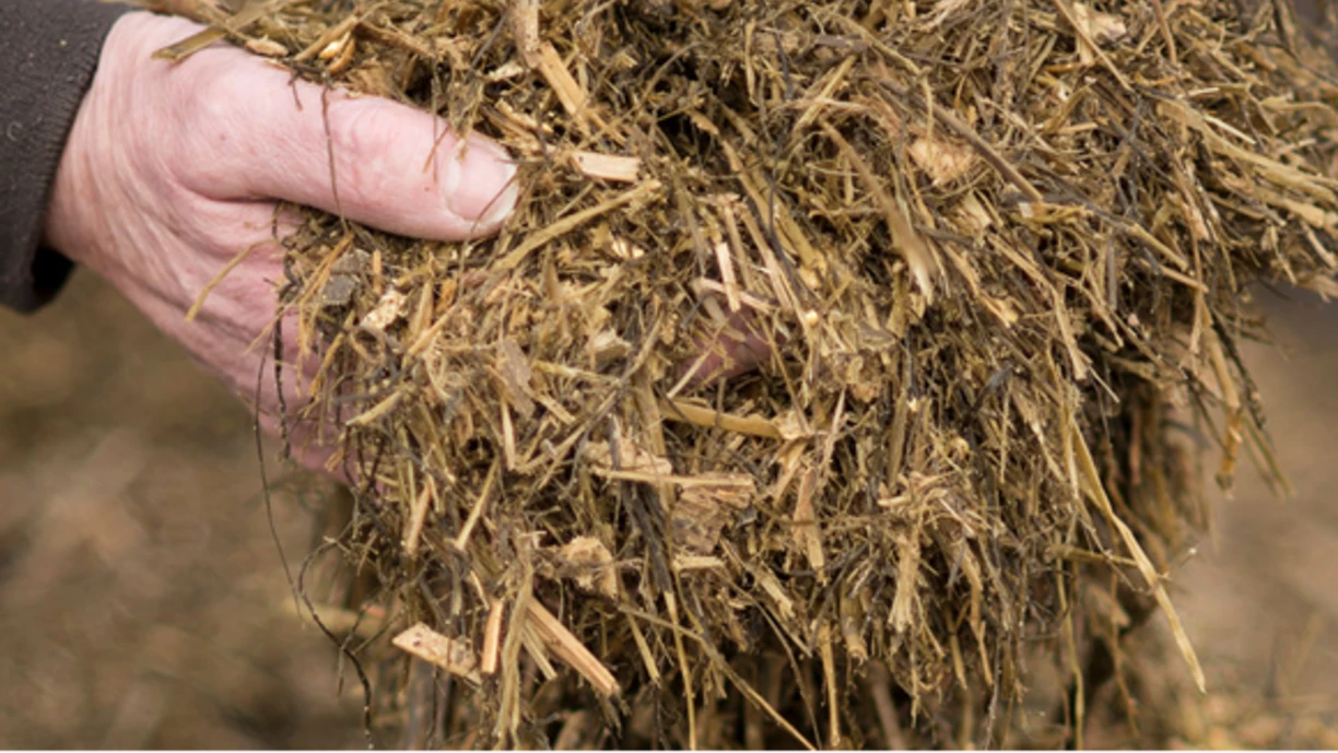 Power fermentation. Feed sooner.