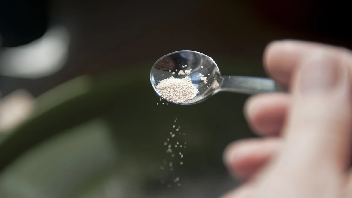Making bread, adding yeast