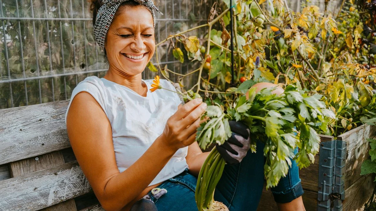 Help for digestive tolerance and comfort