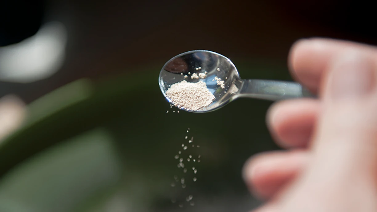 Making bread adding yeast
