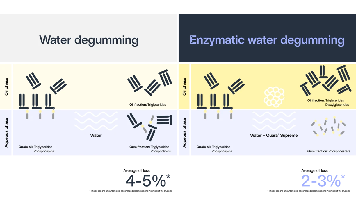 Quara Supreme_Slider