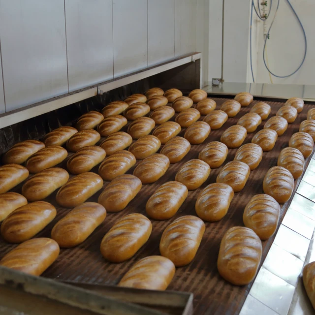 Fresh_baked_loaves_in_industrial_bakin
