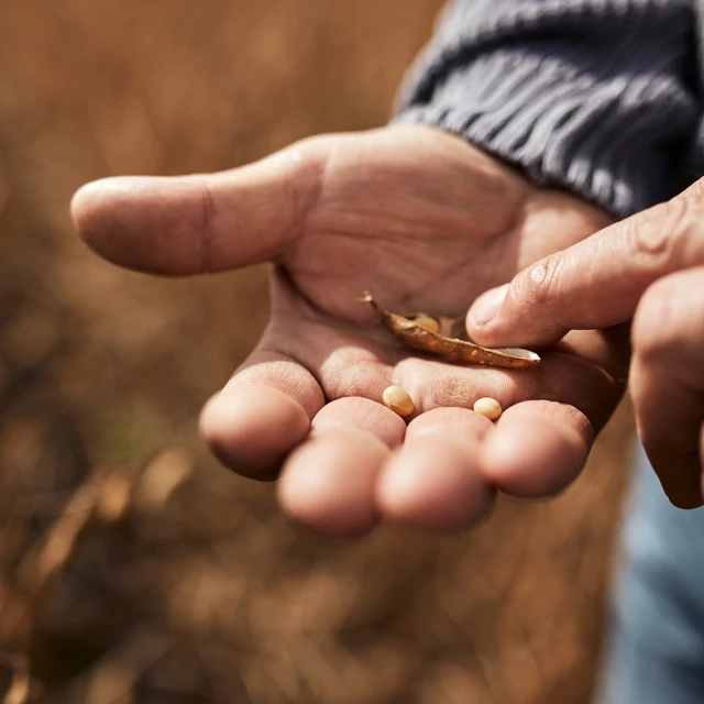 Hand_holding_seeds