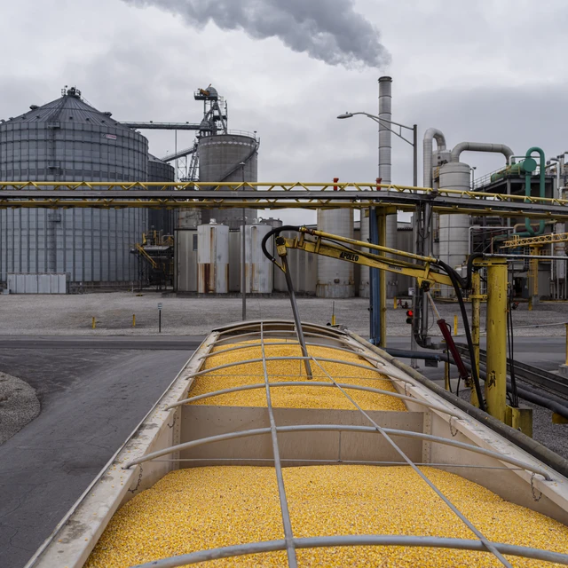 The problem could be your yeast 