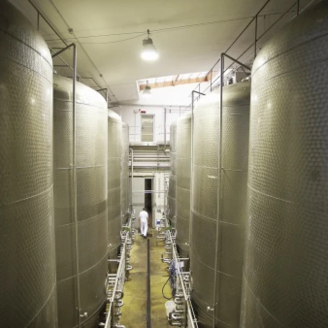 Brewing_fermentation_tanks