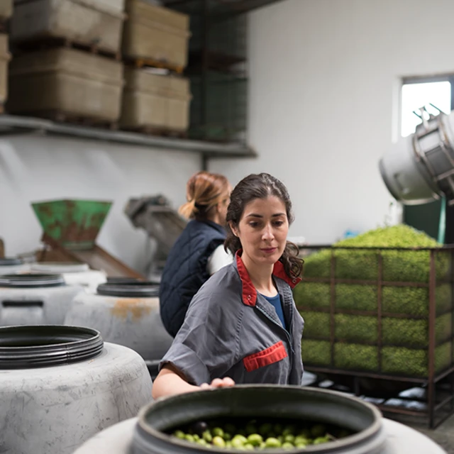Female_worker_in_a_olive_oil_factory
