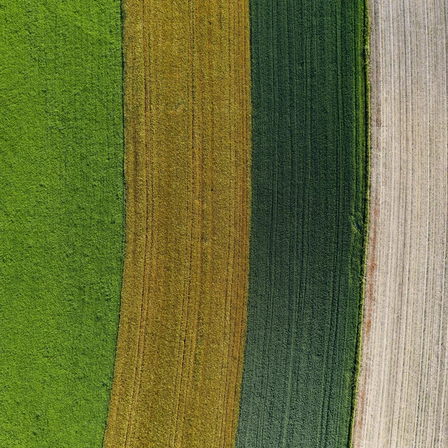 Drone image, agricultural landscape, agricultural fields and meadows