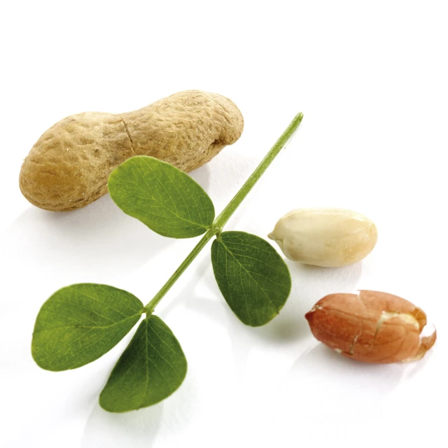 Peanuts and leaves close-up 