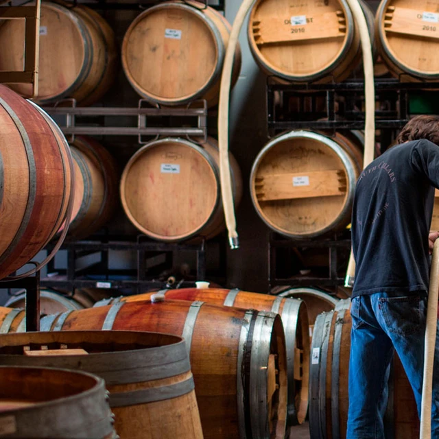 Winemaker making wine 