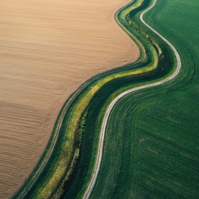 Aerial View On Spring Fields 
