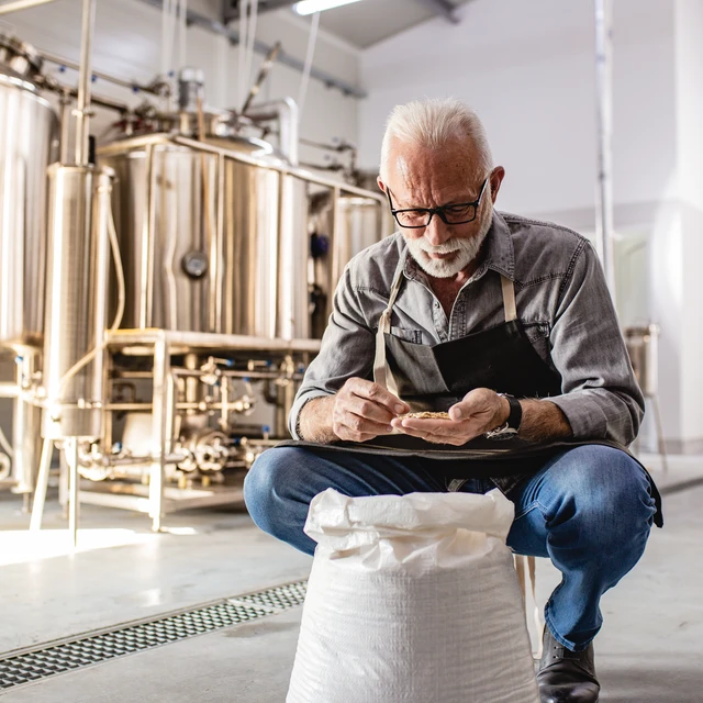 Man holding barley ready for brewing