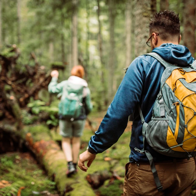 hikers in forest