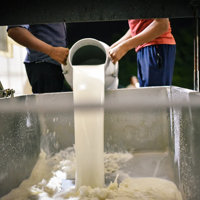 Close-up of milk being poured into a large metal vat