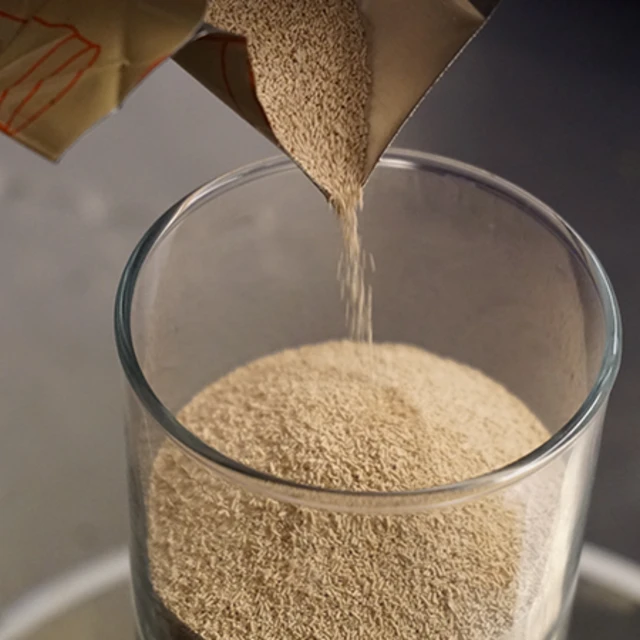 yeast