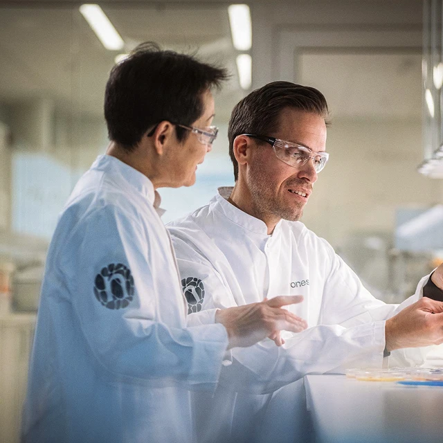 Two Novonesis scientists – one male and one female – in a lab looking at fungi