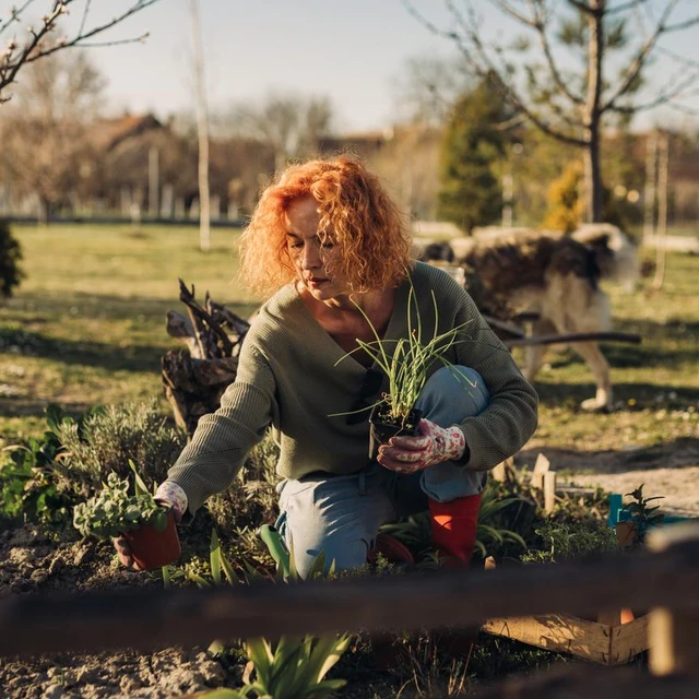 woman gardening