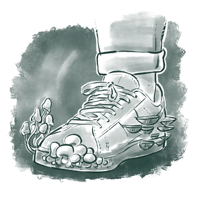 Trivia. Mycelium in shoes, fashion, and packaging