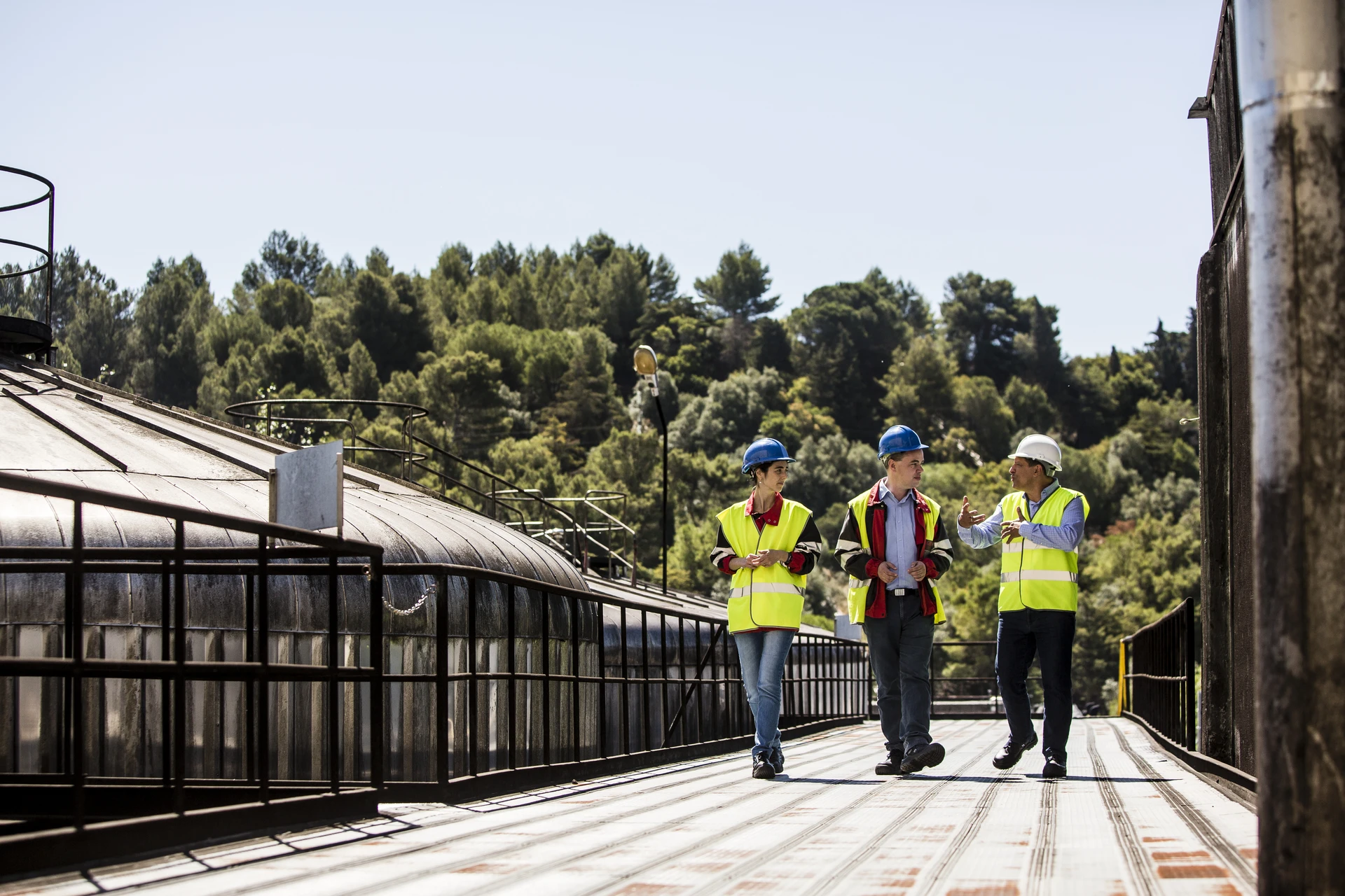 Collaboration between business and goverment