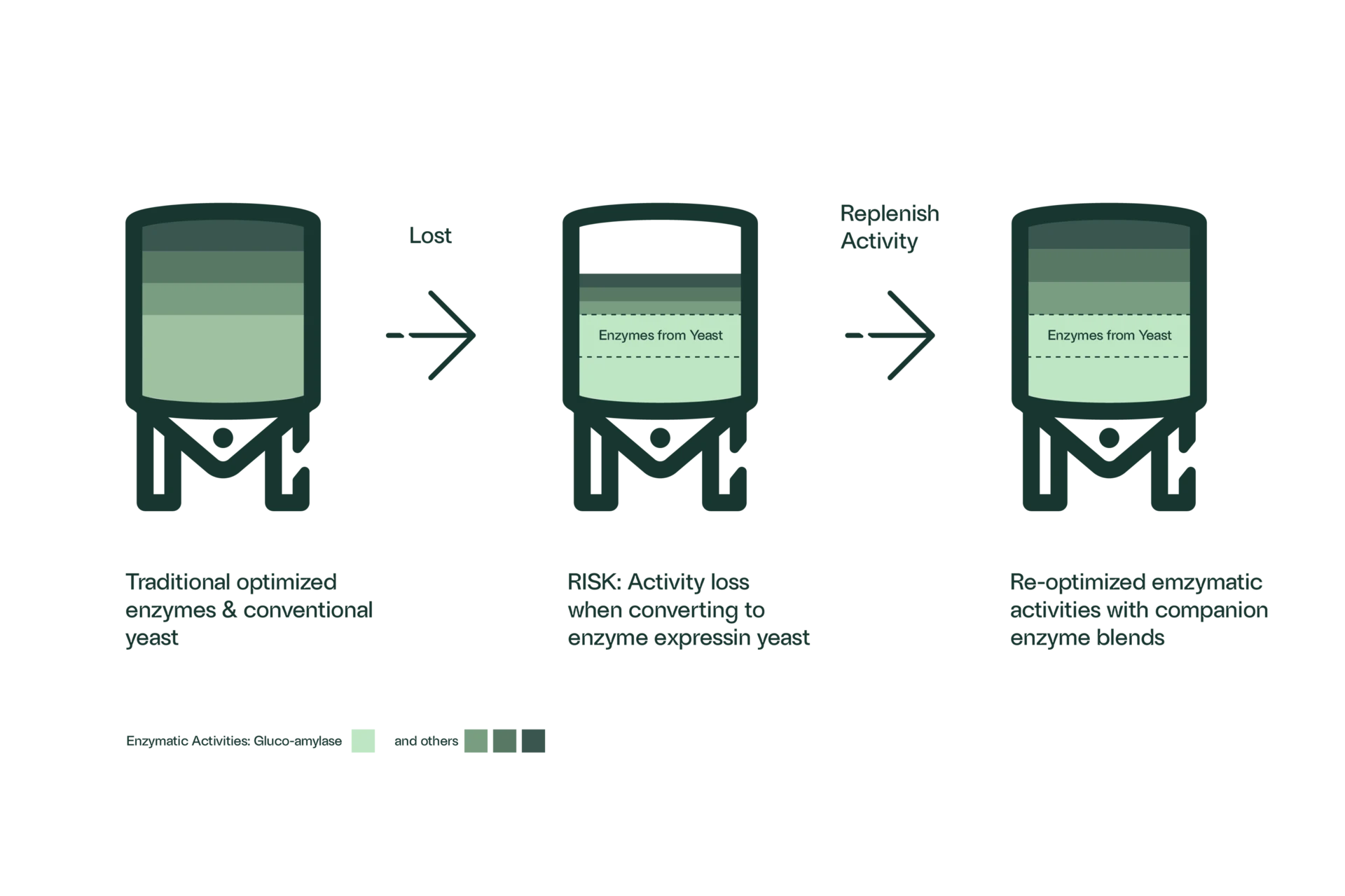 Saccharification_flowchart