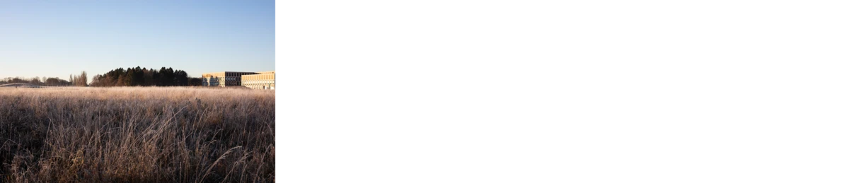 Novonesis_HQ_mark_view_thumbnail