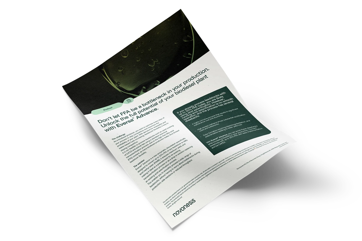 Eversa Advance_white paper_mockup