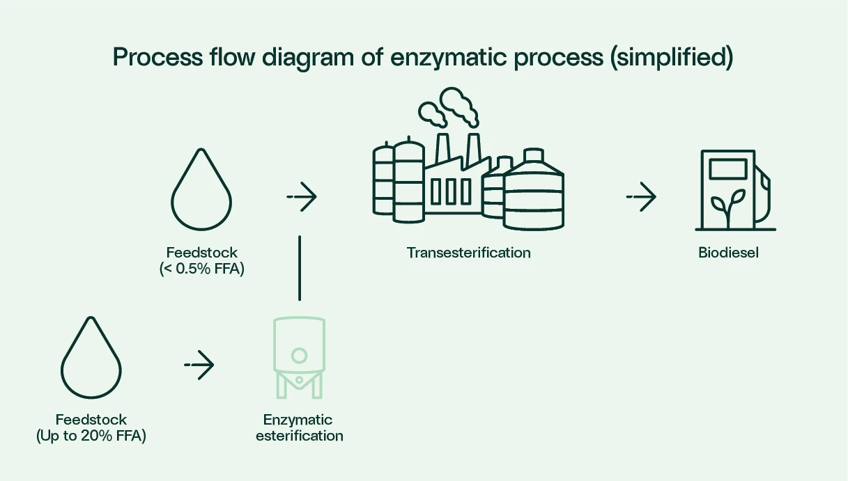 Enzymatic process Route