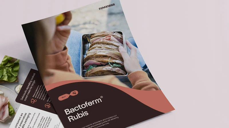 BactofermRubis_One-pager_mockups_collected