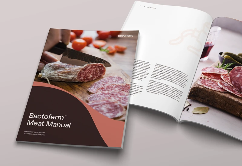 MeatManual_mockup