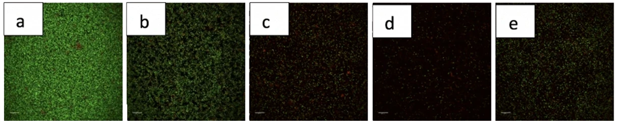 endoscope_challenge_Findings-Fig1