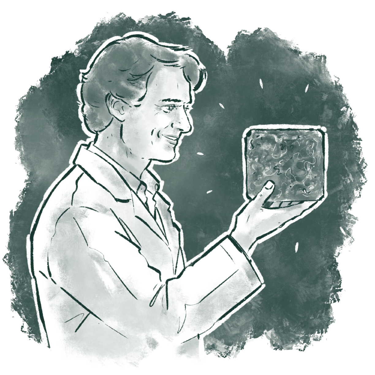 Mycelium as building material