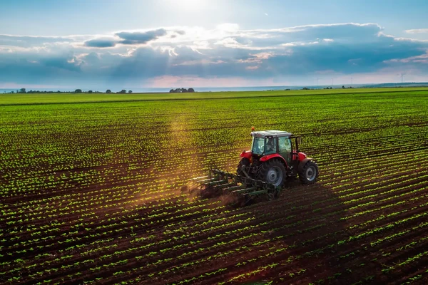 Farmer plowing crops