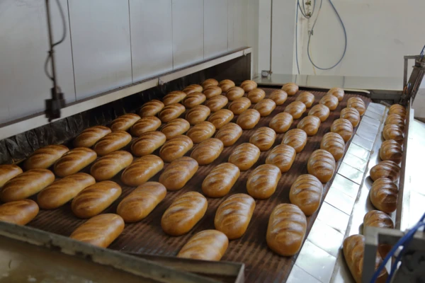 Fresh_baked_loaves_in_industrial_bakin