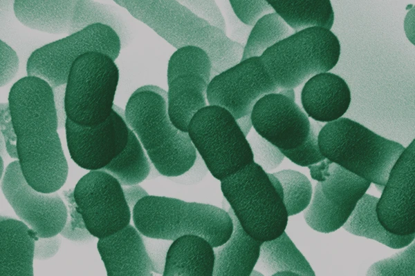 Close up of a petri dish