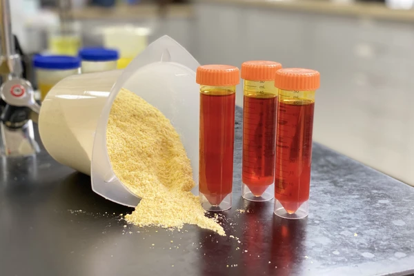 Corn and tubes in scientist lab