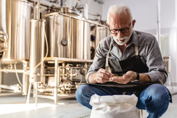 Brewer looking quality