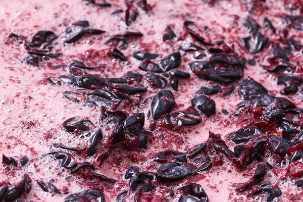 Fermentation red wine