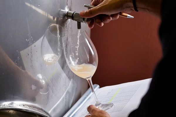 Hand taking wine test from tank