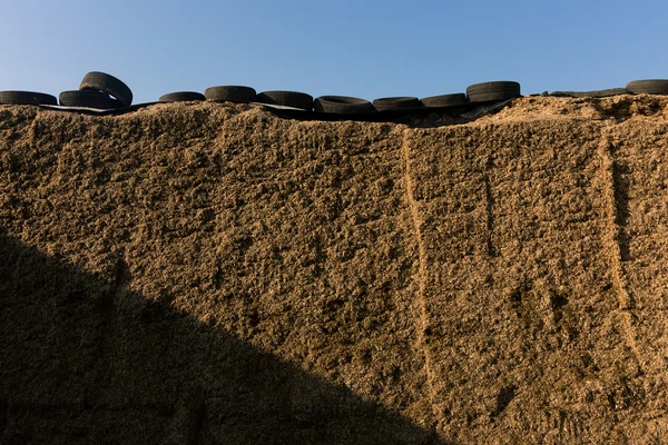 silage_wall