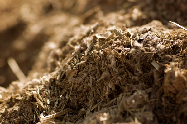 silage_closeup