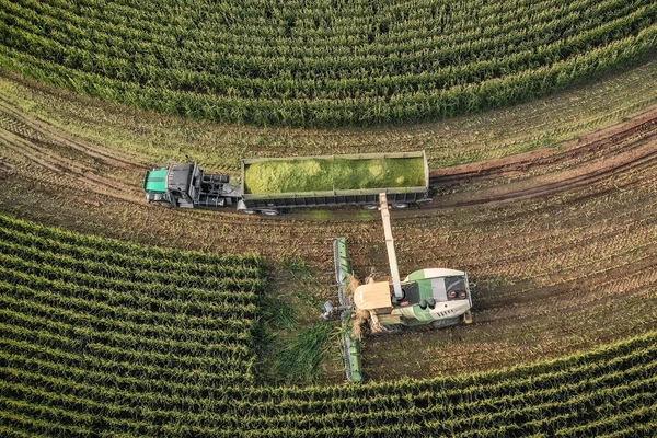 Manage harvest and apply the correct inoculant with care