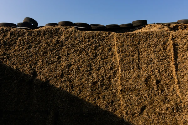 Silage wall