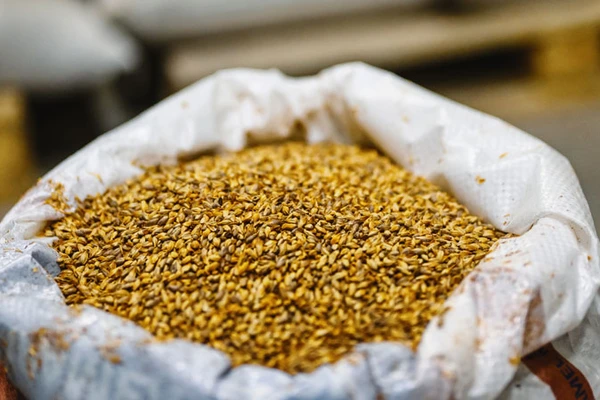 bag of barley
