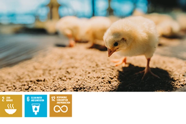 Novonesis' ProAct 360™