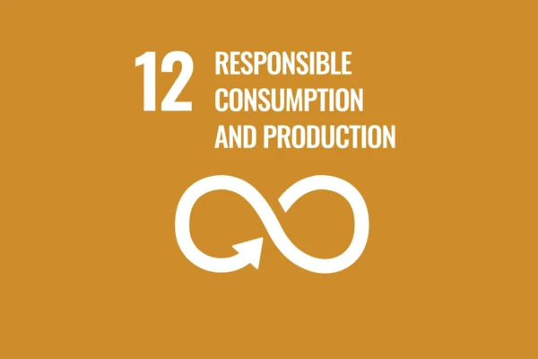 responsible consumption and production